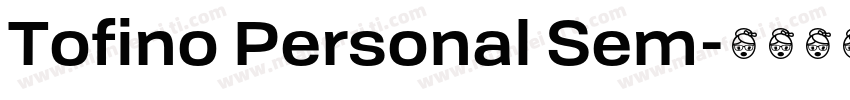 Tofino Personal Sem字体转换